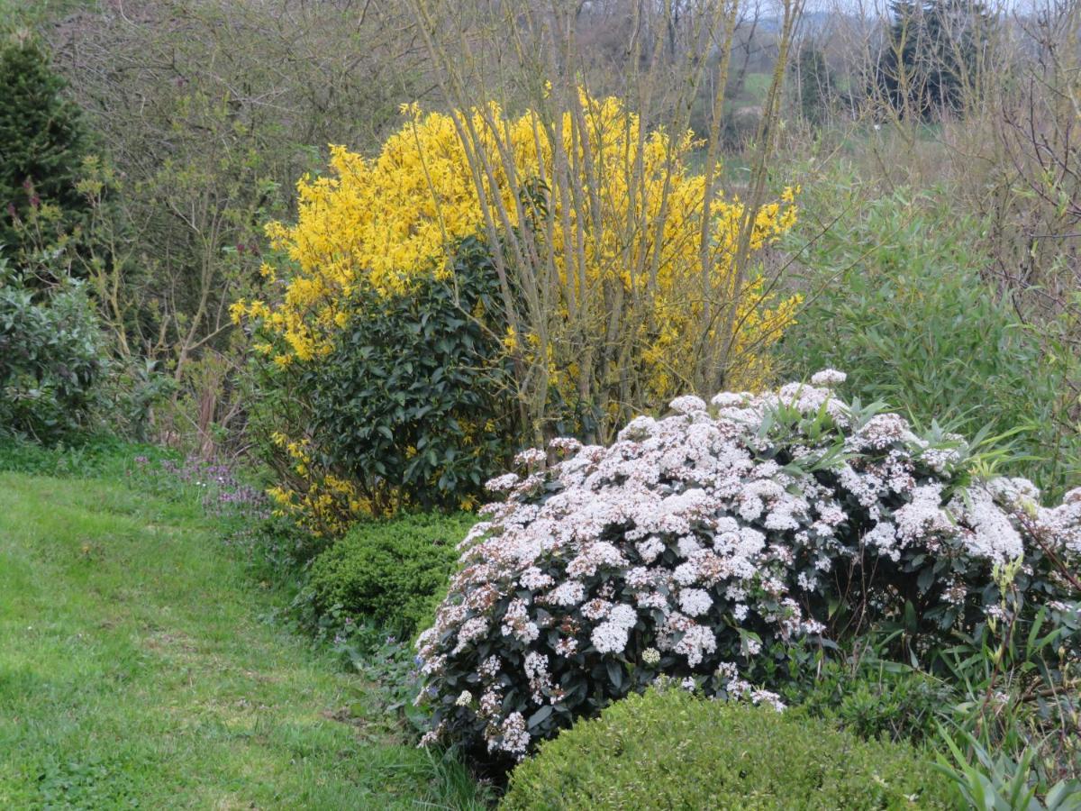 Ecrin De Verdure Sainte-Suzanne  Esterno foto