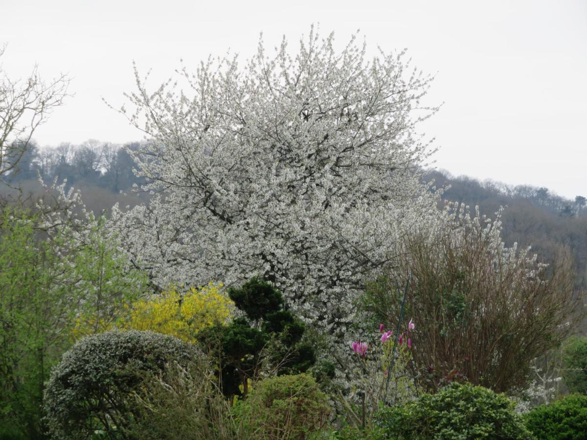 Ecrin De Verdure Sainte-Suzanne  Esterno foto
