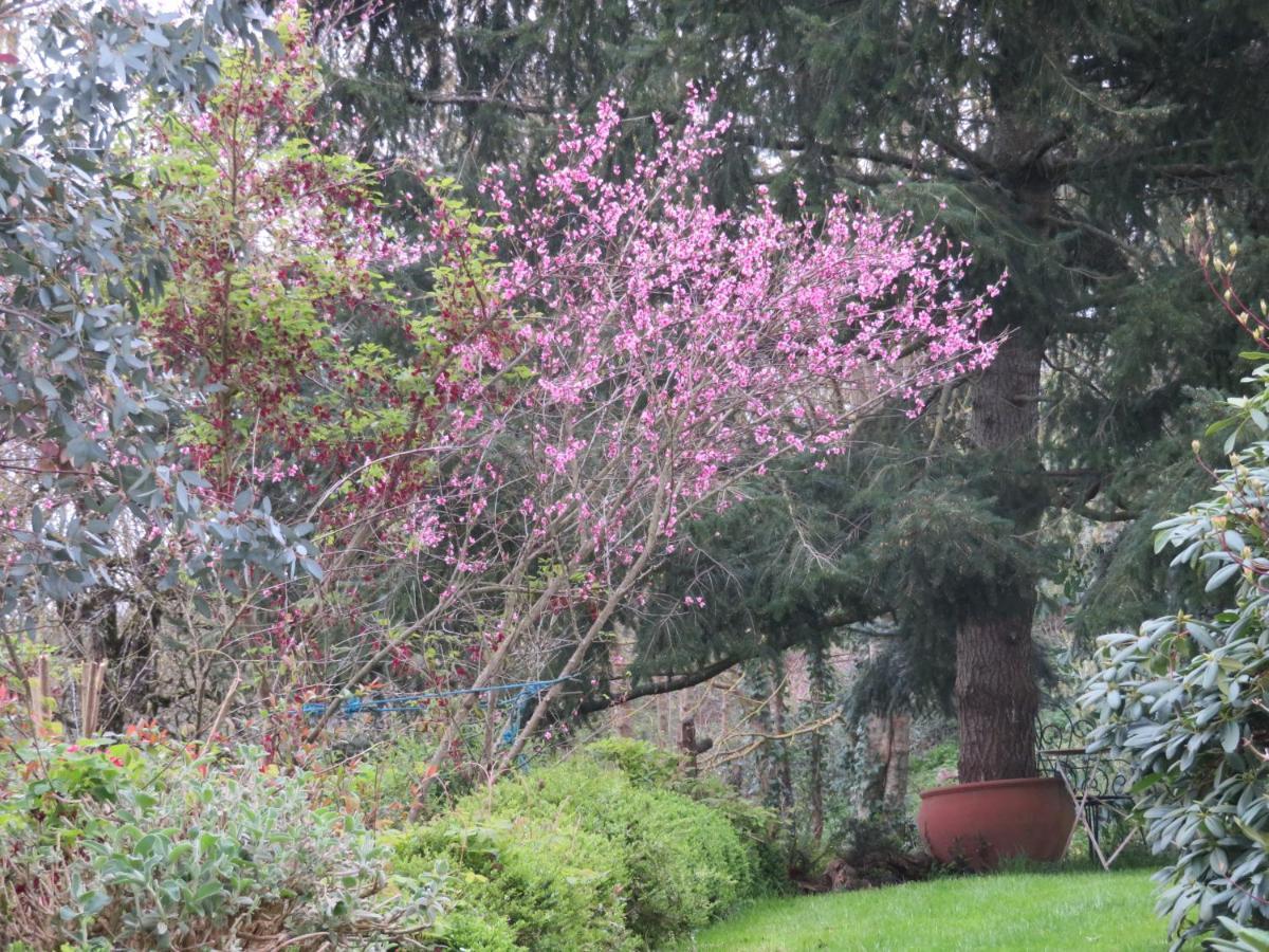 Ecrin De Verdure Sainte-Suzanne  Esterno foto