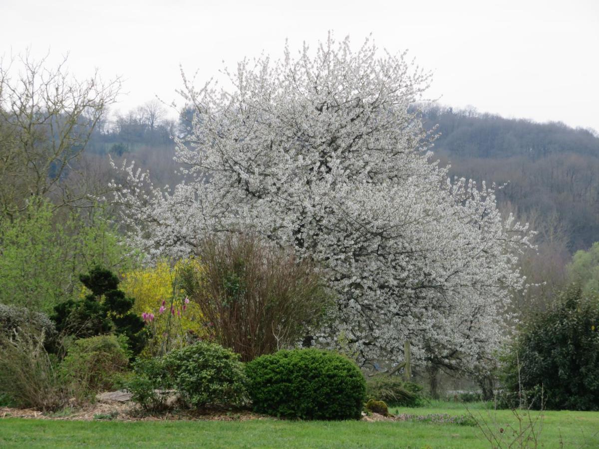 Ecrin De Verdure Sainte-Suzanne  Esterno foto