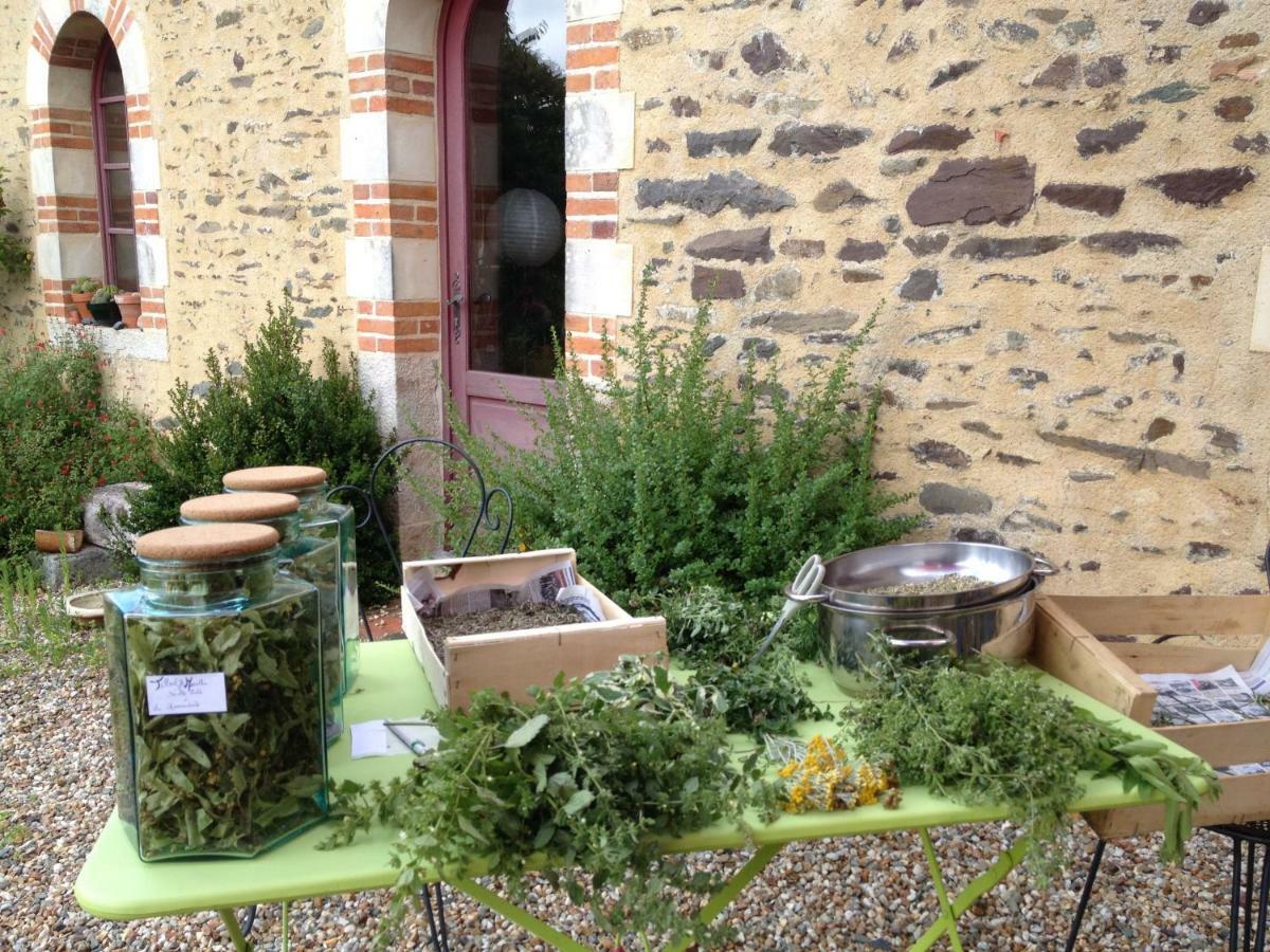 Ecrin De Verdure Sainte-Suzanne  Esterno foto